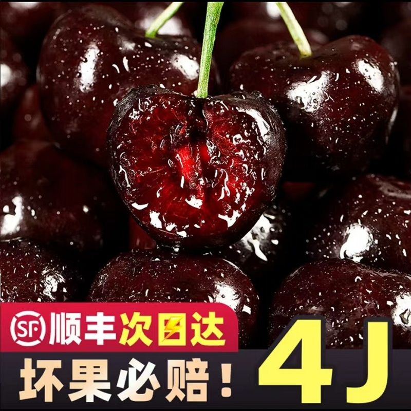 【明天到】3JD/4JD智利进口空运车厘子/新鲜头茬水果宝宝孕妇内附果径卡800g大果-A3桑提娜樱桃智利共和国