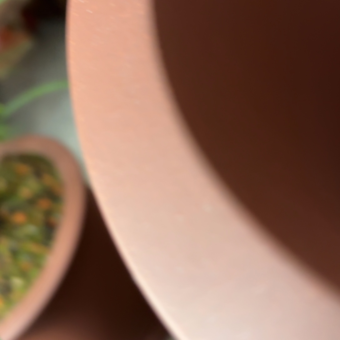 紫砂李*正宗高温全手工花盆