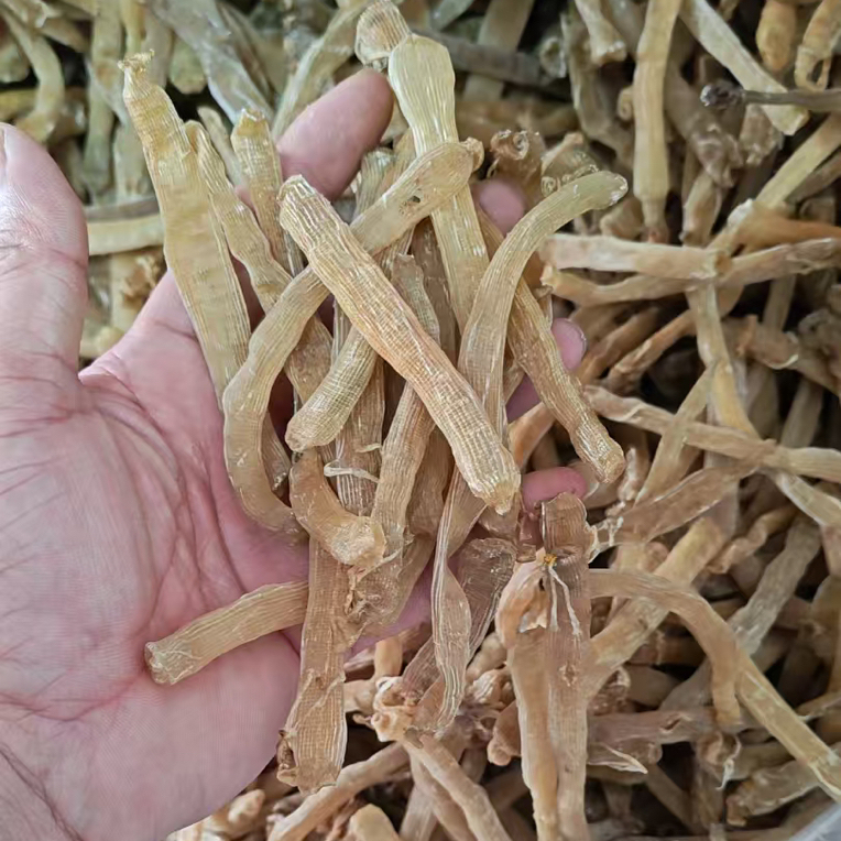 沙虫干海味干货沙虫