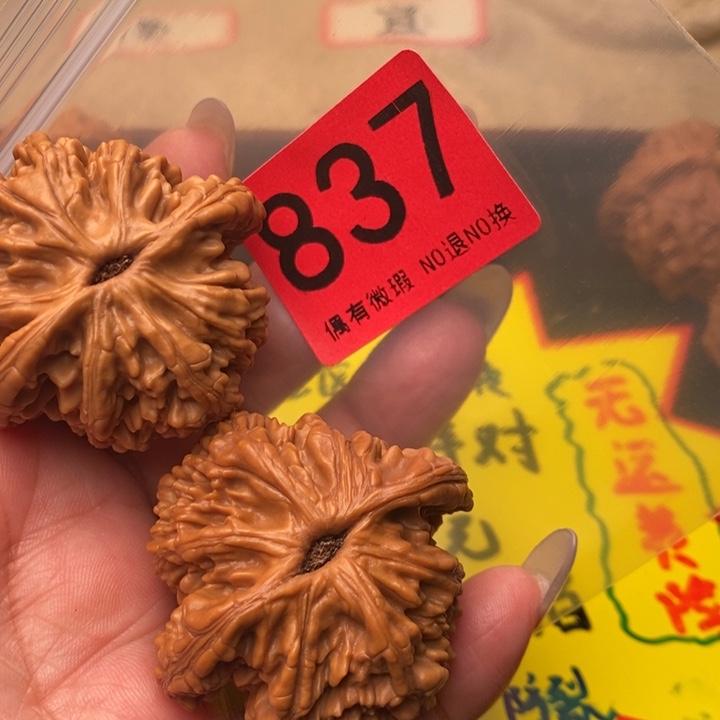 狮虎兽46尺837号瑕疵