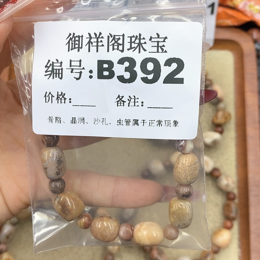 硅化珊瑚（珊瑚玉）颈饰未镶嵌?****