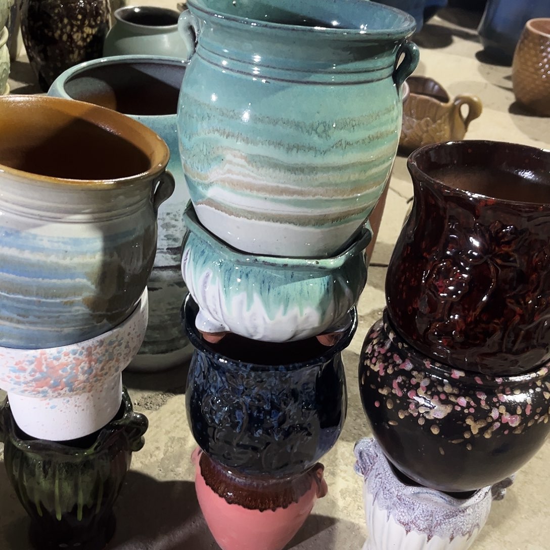 紫砂花盆里的小猫咪