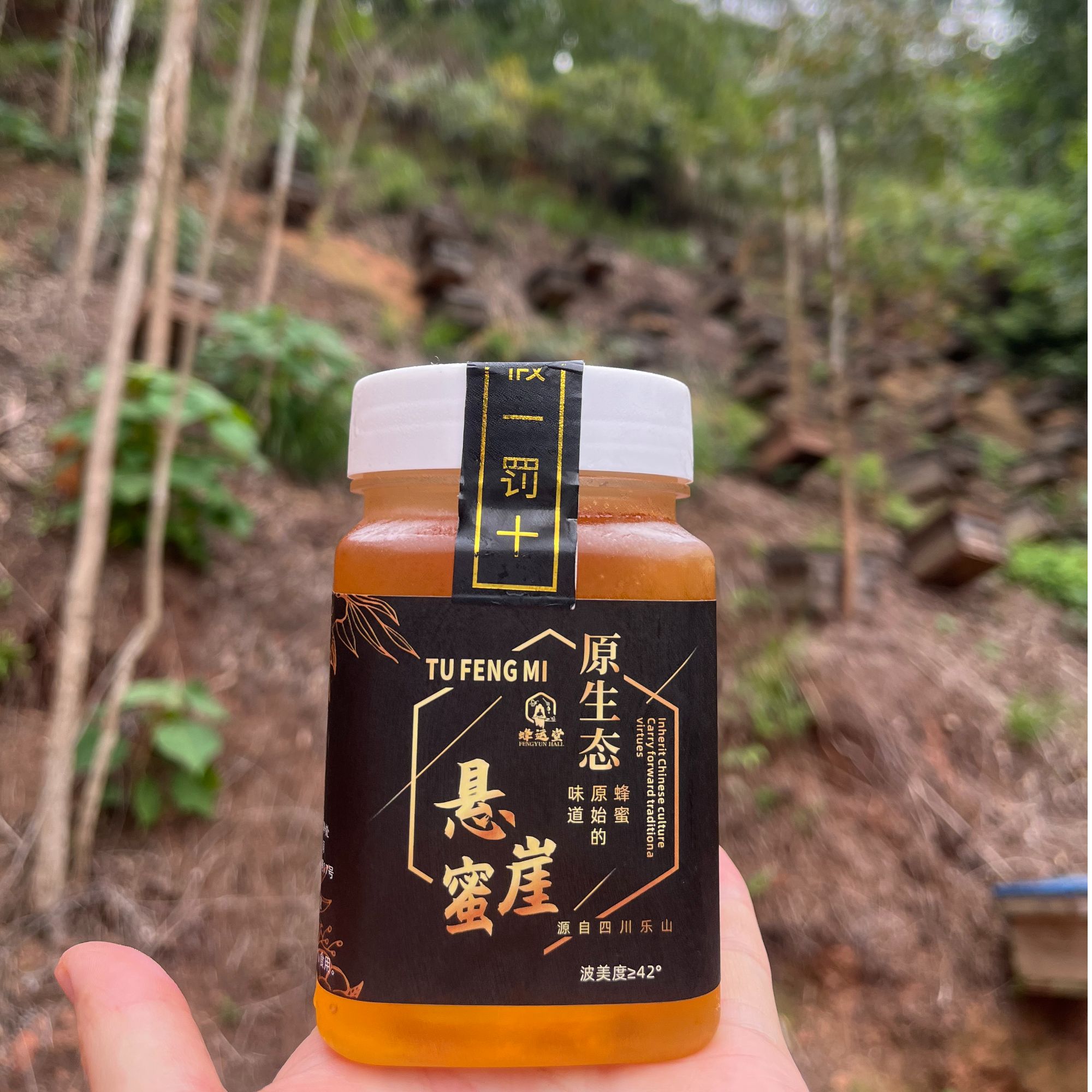 【假一赔十】四川特产悬崖蜂蜜土蜂蜜500g*2