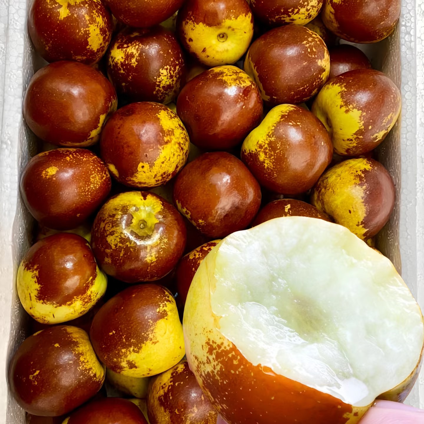 冬枣一件2斤左右