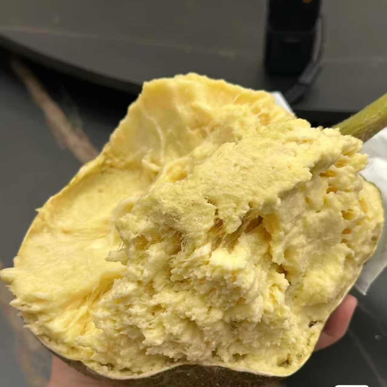 网红面包果云南稀有热带水果猴面包果奶酪果新鲜水果罕见水果整个