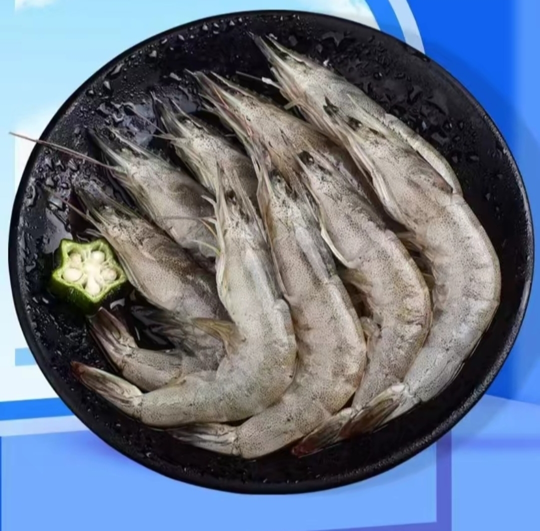 新鲜海捕海虾（海白虾）4斤+2斤到手6斤