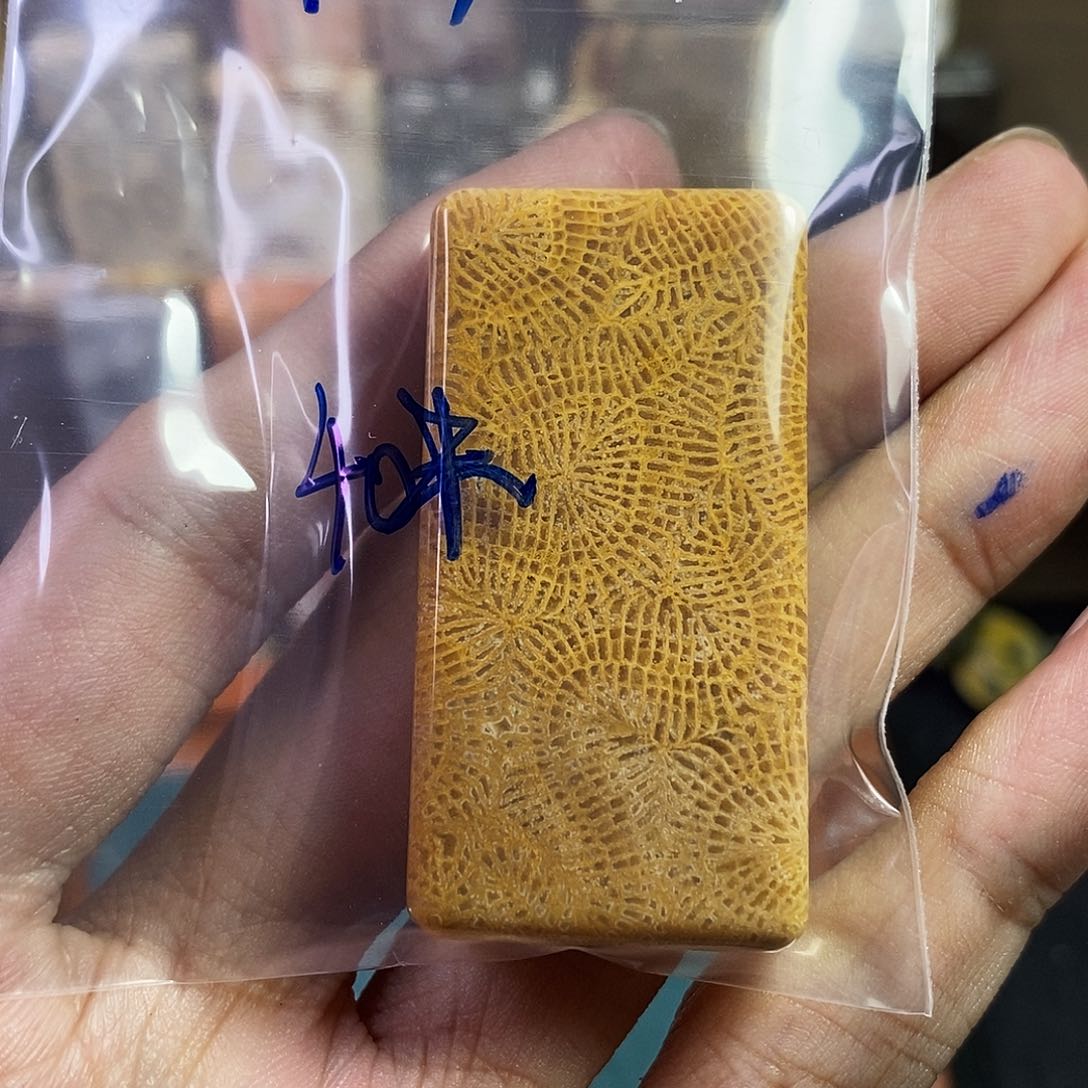 硅化珊瑚（珊瑚玉）吊坠未镶嵌丰**长