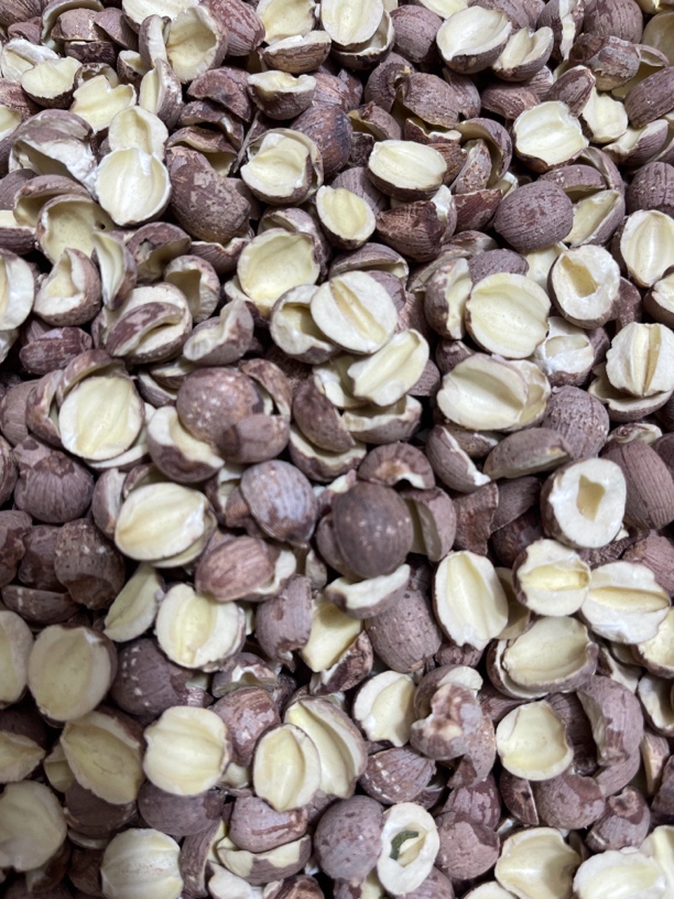 药材哥自卖精品红莲子