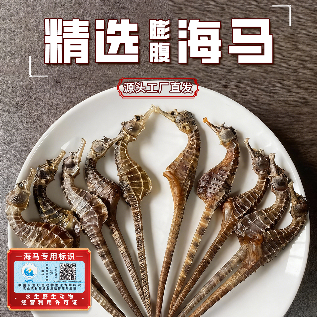 厂家直销海马公母配对干货渔民生晒滋补煲汤泡酒专用