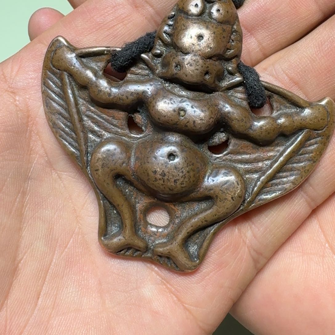 大鹏鸟喜欢带回家