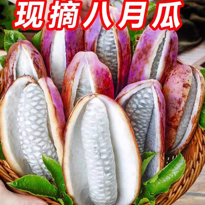 【顺丰包邮】深山当季水果八月瓜预知子八月炸鲜果孕妇果中秋礼物