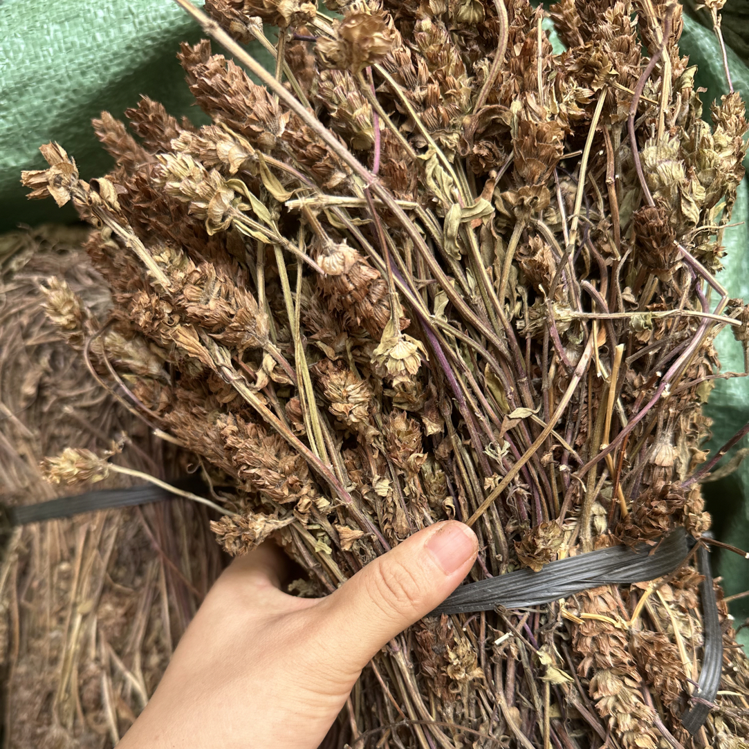 广西山货夏枯草整株 干品夏枯草