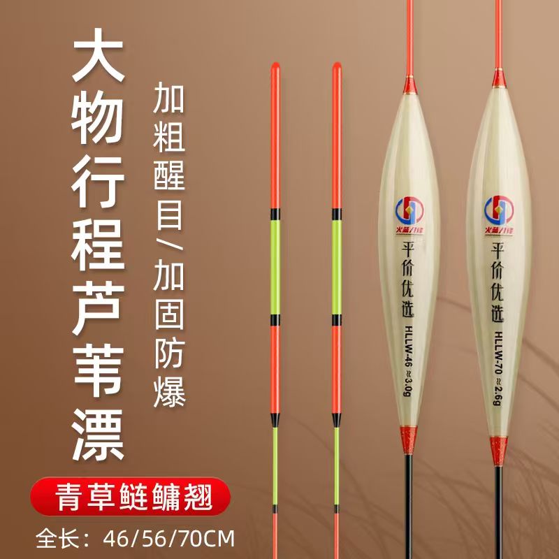 火蓝刀锋黑坑湖库芦苇珠珠正钓行程钓鱼漂青鱼草鱼翘嘴高灵敏浮漂