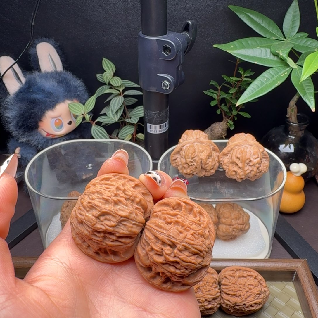 把件龙脊菩提全品山地磨40