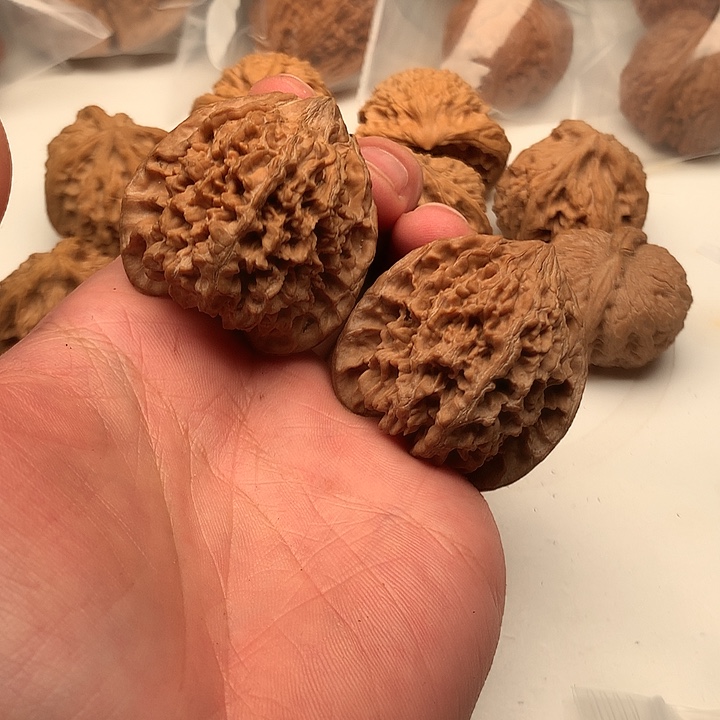 文玩核桃把件满天星