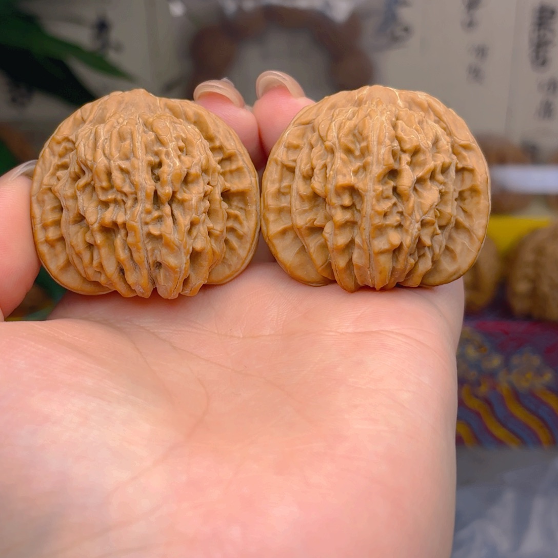 卫***号四座楼狮子头四十二尺