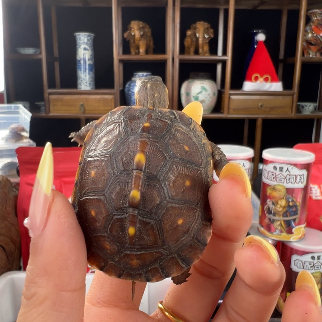 母鼎**业安啦啦啦啦啦啦啦啦