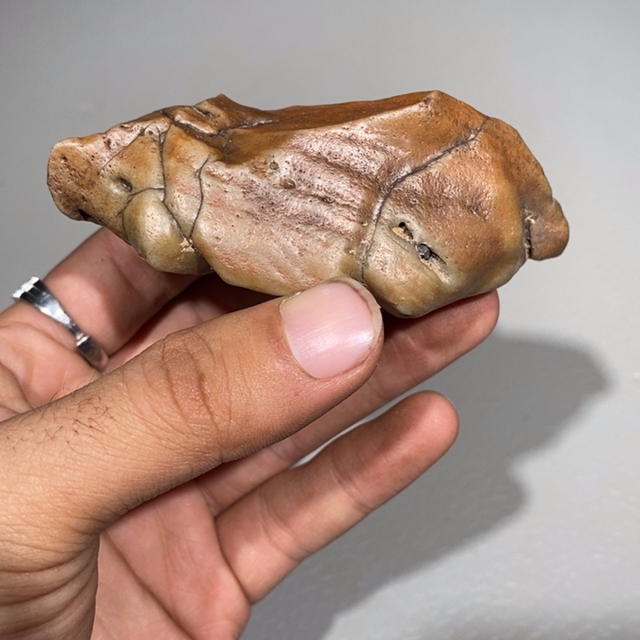 玛瑙/玉髓车挂合金龙**士804