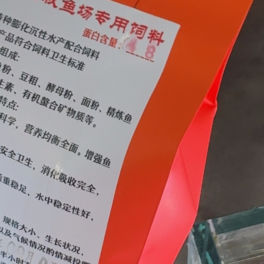金鱼精品短尾将军狮子