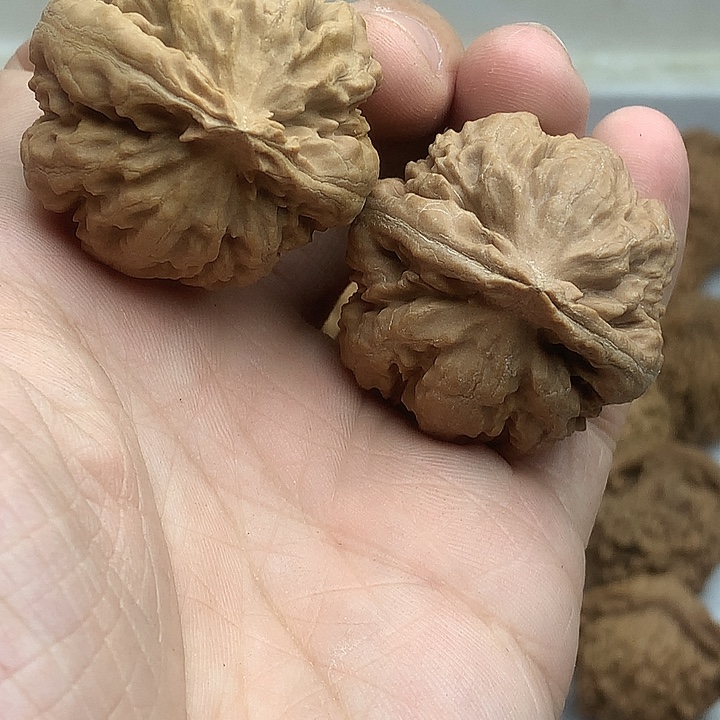 π***6文玩核桃吊坠霸王龙