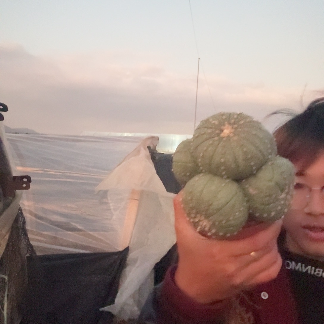 红***残无花朵兜哈哈哈哈哈哈