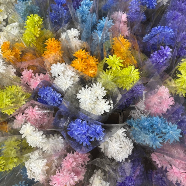 永生手工小昙花花店配花做手工diy插花瓶