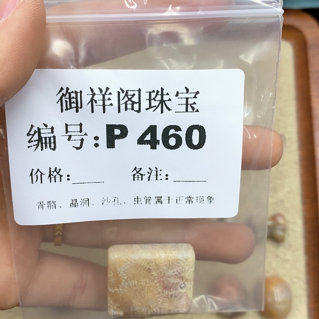 硅化珊瑚（珊瑚玉）P未镶嵌向*花