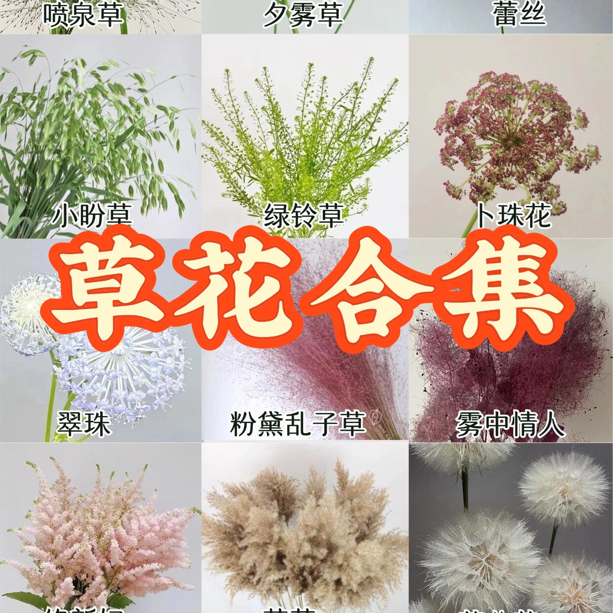 【配草合集】 任意两单升级顺丰包邮    0°及以下地区需拍保温棉