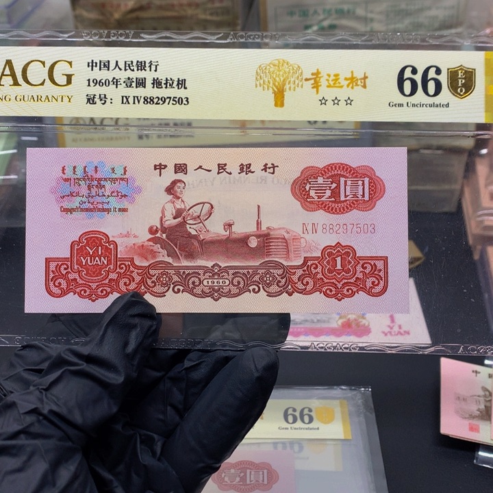 88297503一张一张一张一张