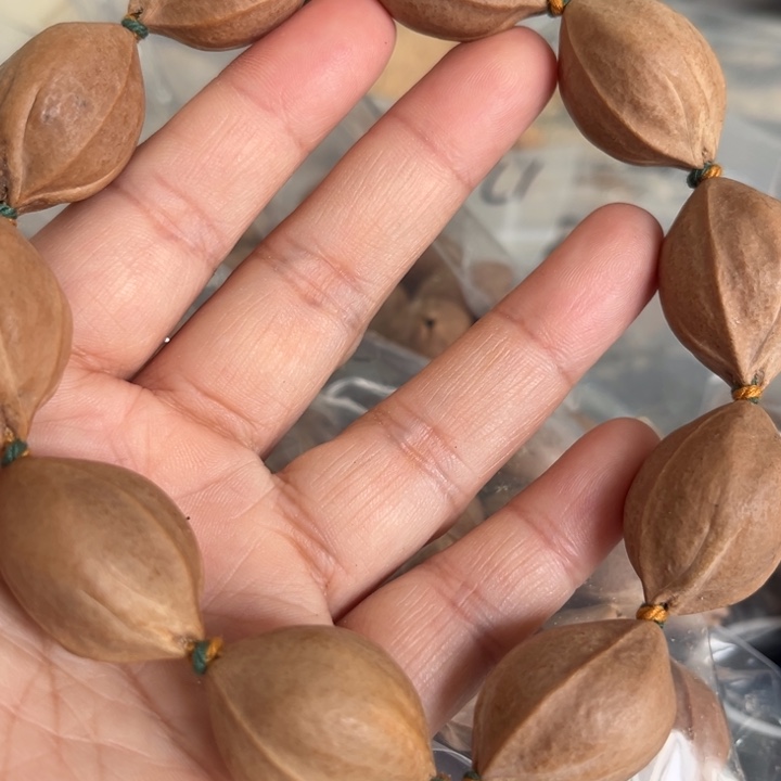 橄榄核手串/手链……20✖️28