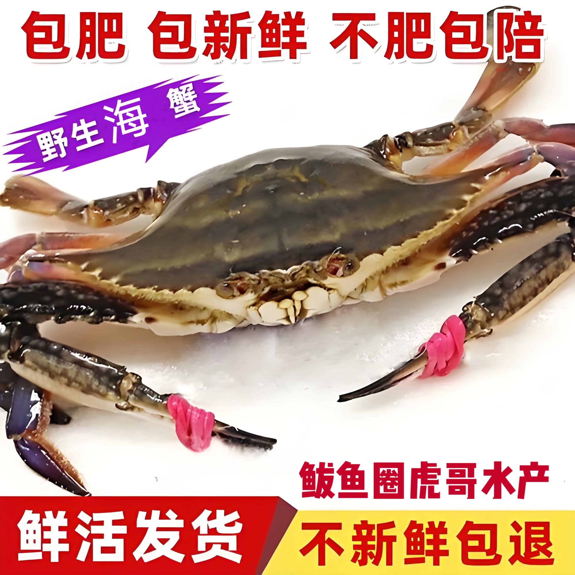本海大公青蟹，肉质鲜甜，嘎嘎肥顺丰包邮