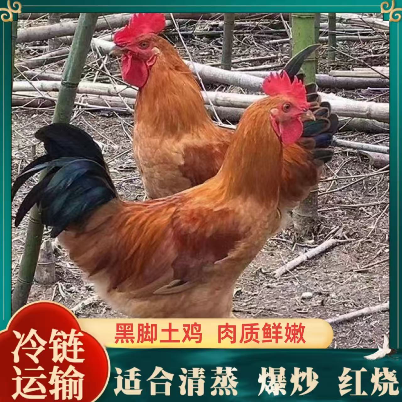 【山里人】放养黑脚土鸡 买三送二  到手共5只净重10斤