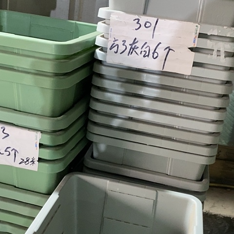 树脂编号301无托6个