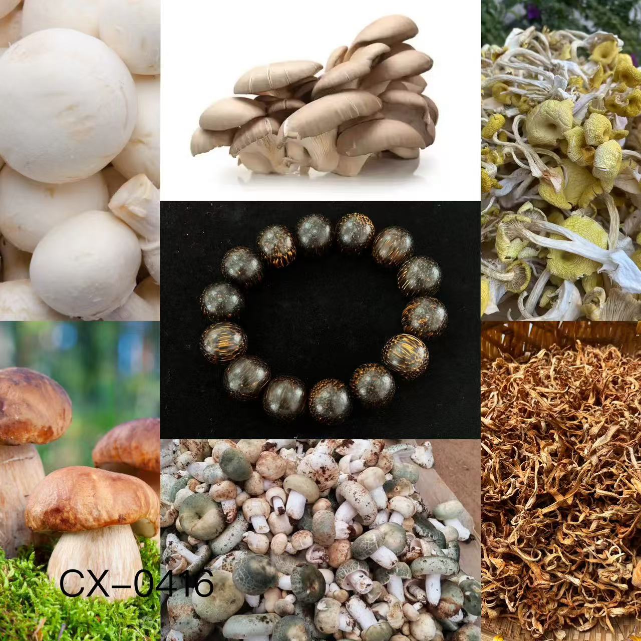 《阿浩专属土特产》CX0416（多样性发货）  重量42g