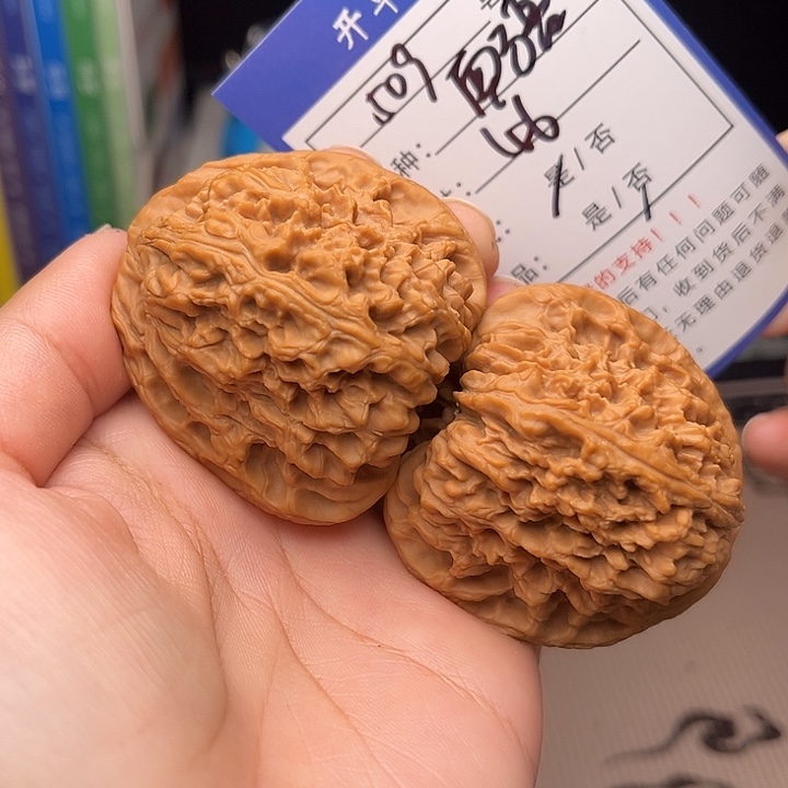 文玩核桃手捻核桃509