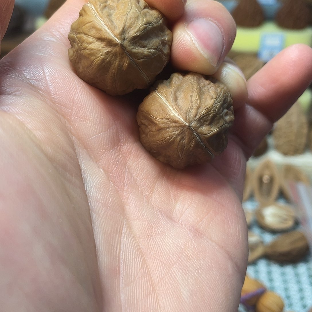 文玩核桃把件秋子龙蛋