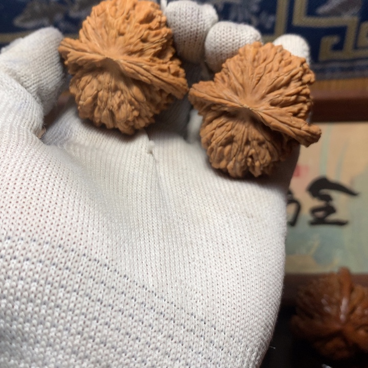 奥***克哈哈哈哈哈哈哈哈哈哈哈