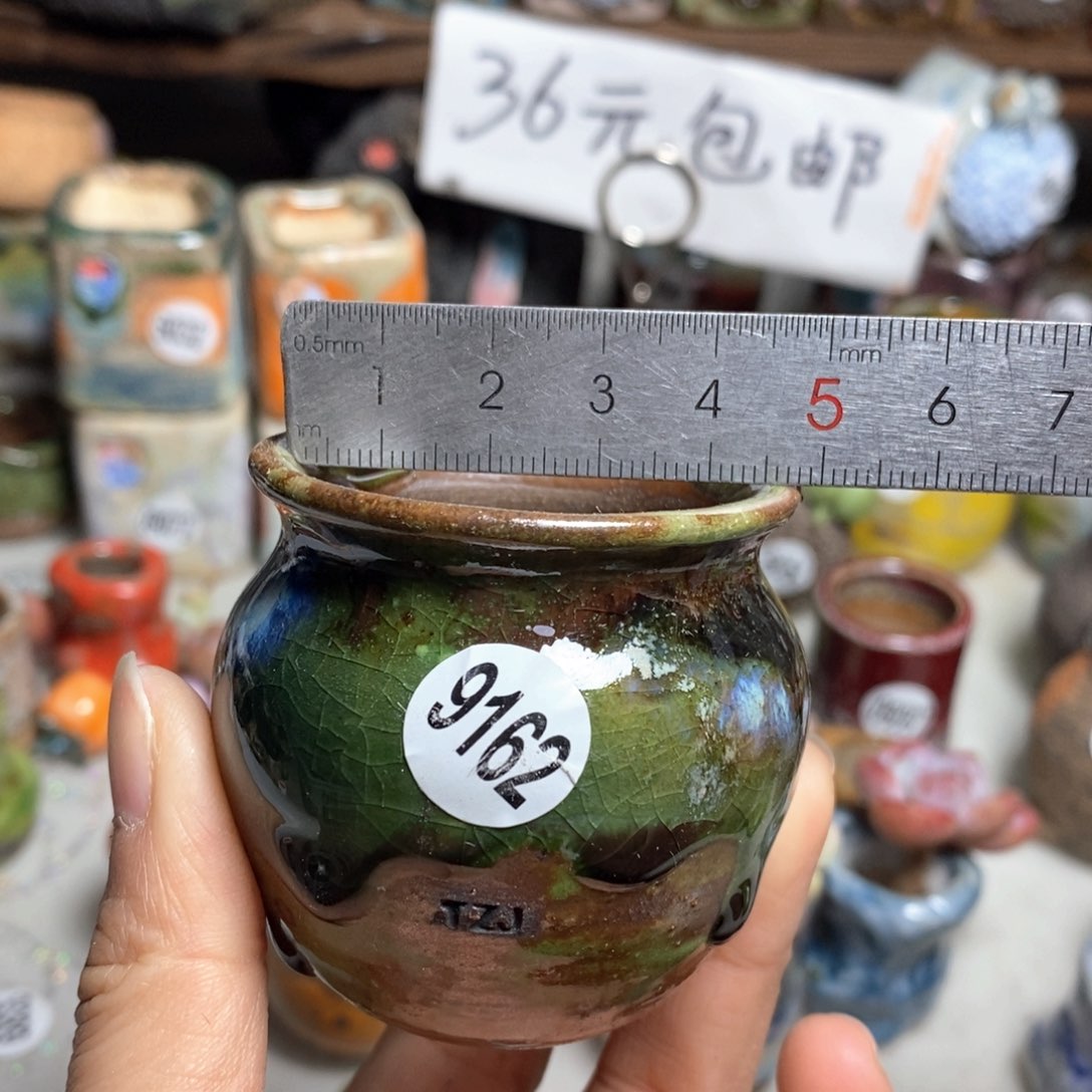 花盆拍5送一个小礼物