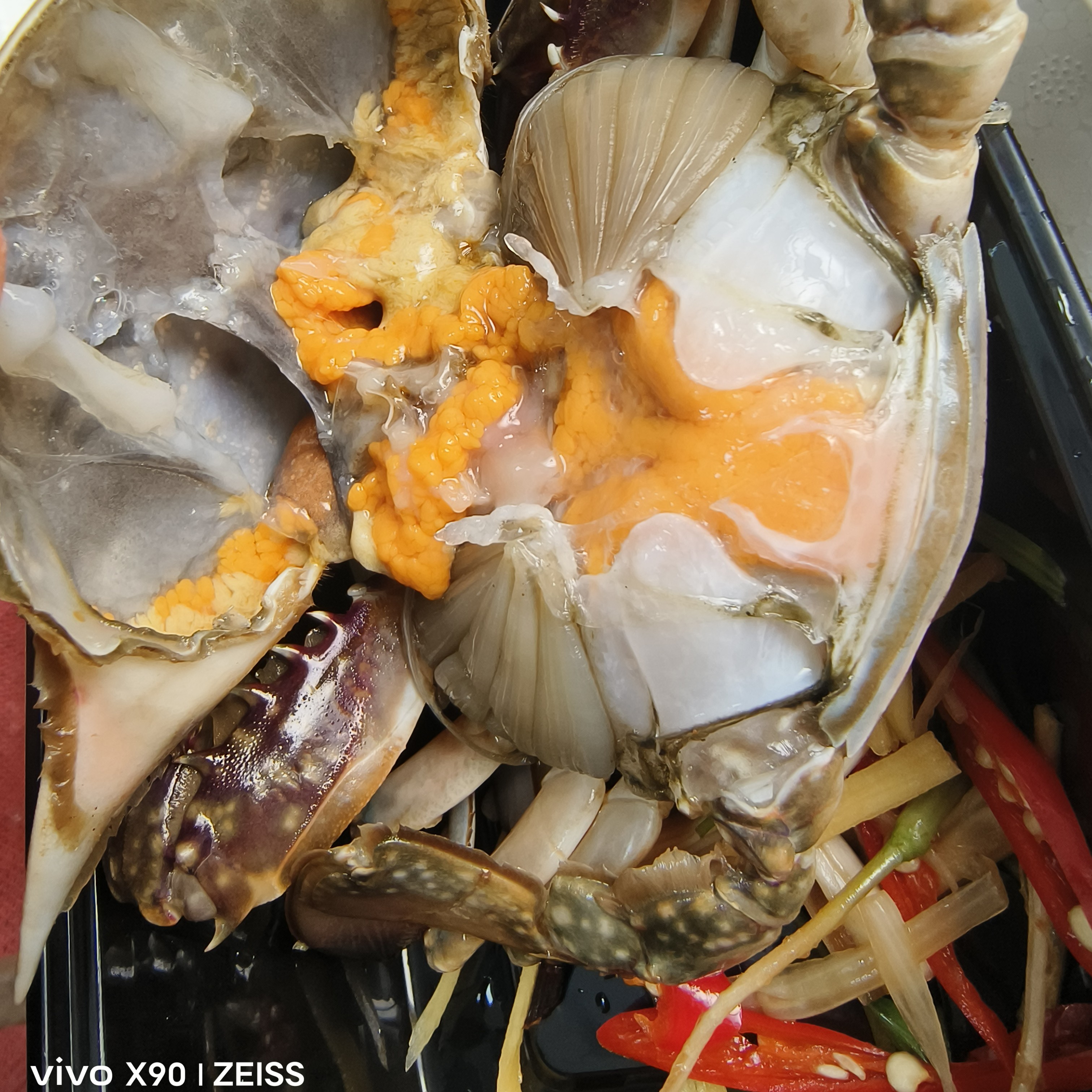 顺丰跑腿 大连飞蟹 顺丰跑腿 请拍