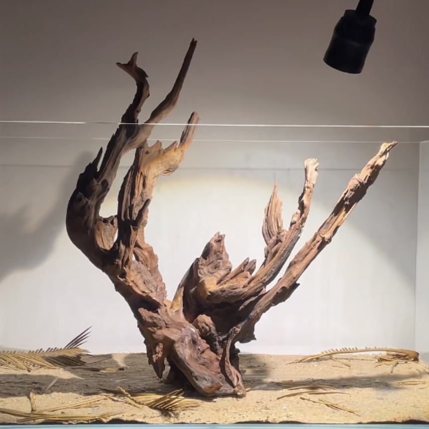 【小米鱼缸沉木】鱼缸造景南美缸沉木拱桥紫柚木树桩杜鹃根一木成景