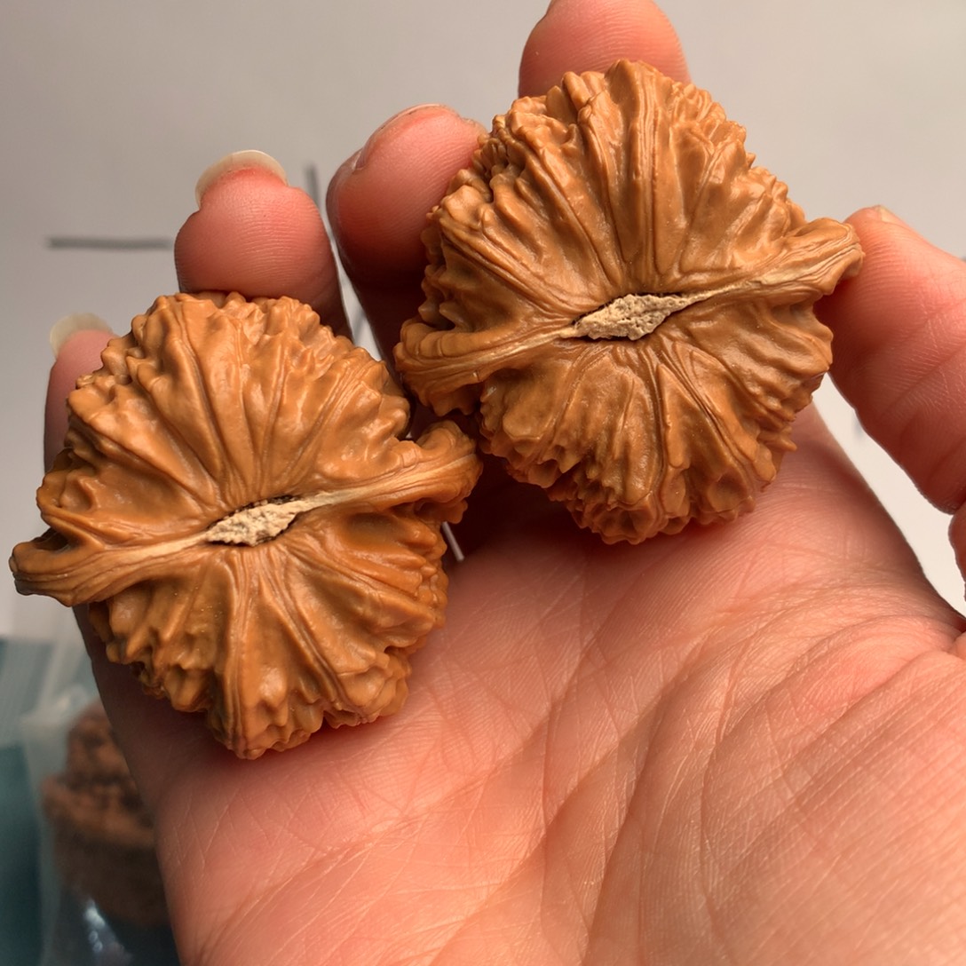 隐***身吊坠文玩核桃白狮子46