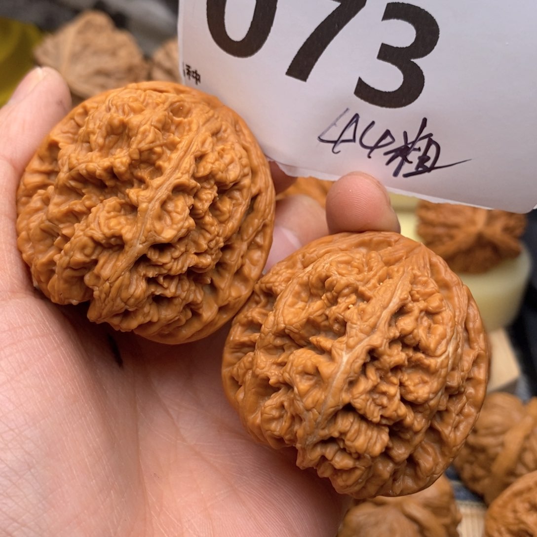 文玩核桃把件073号44粗筋