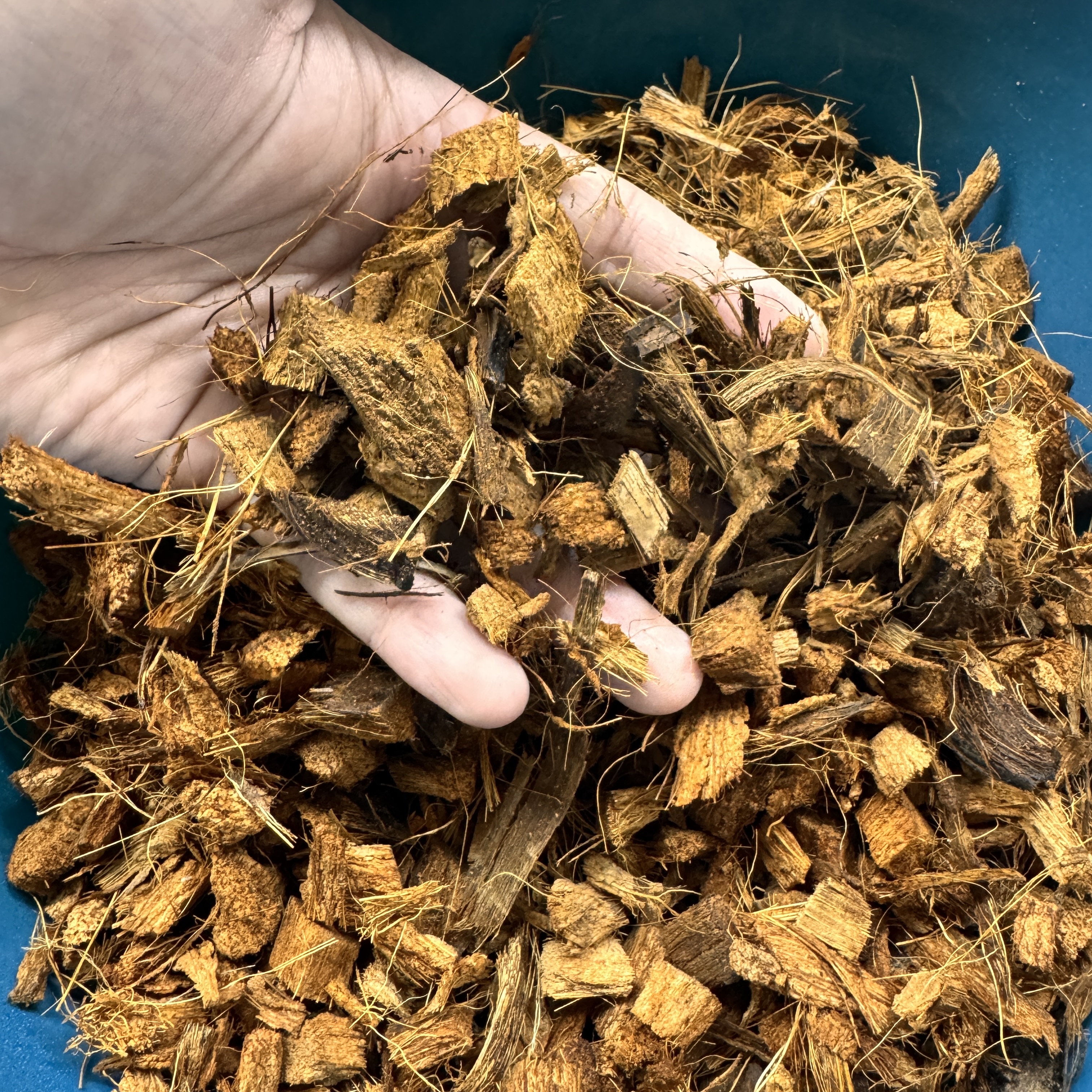 爬行宠物垫材免泡发椰壳中型颗粒不沾身