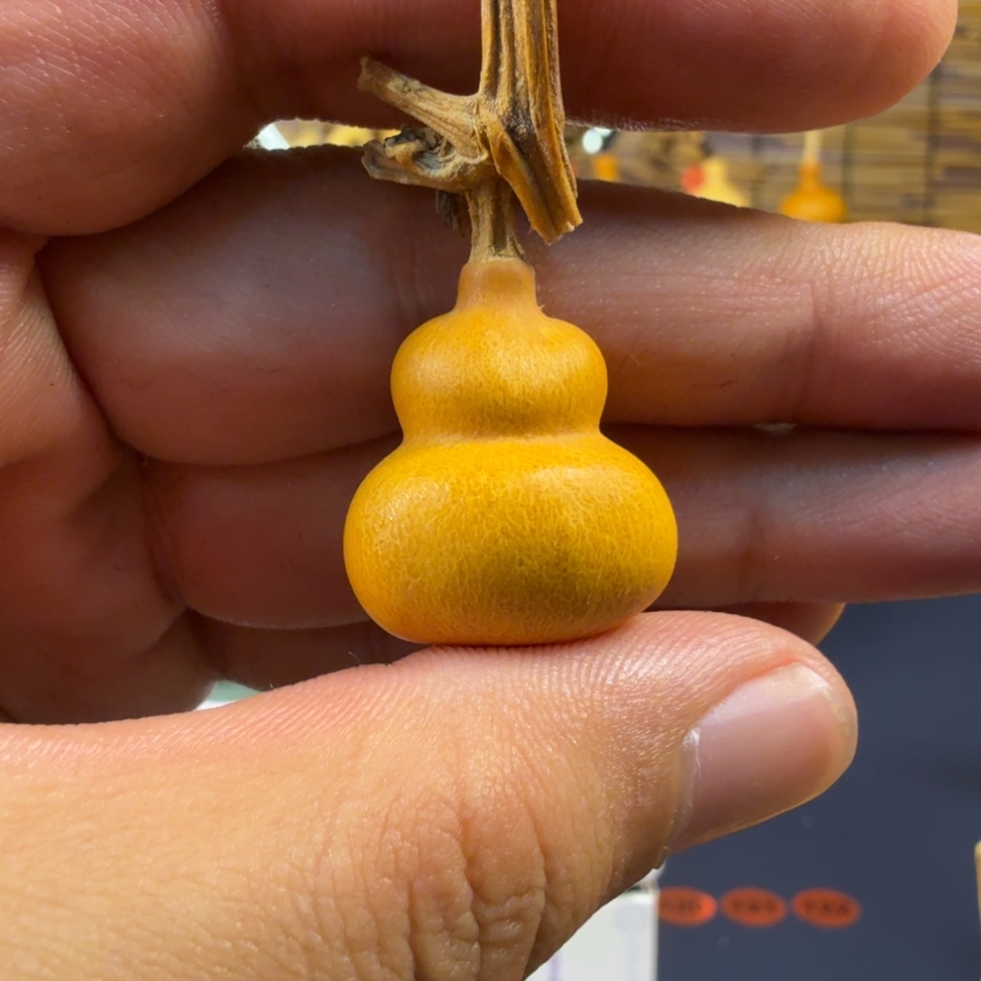 文玩葫芦冰裂纹草里金尺寸2.3