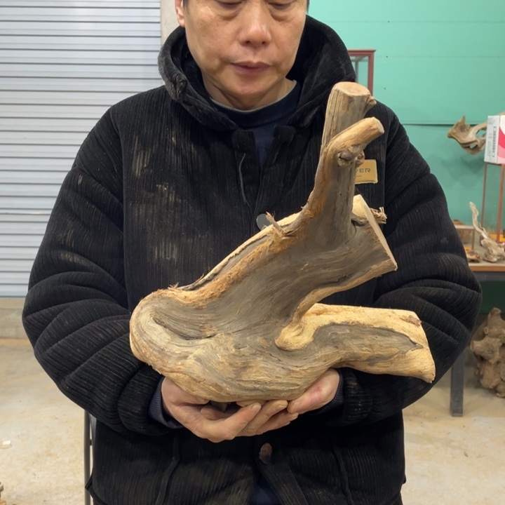 云**轻我们都是好孩子呀