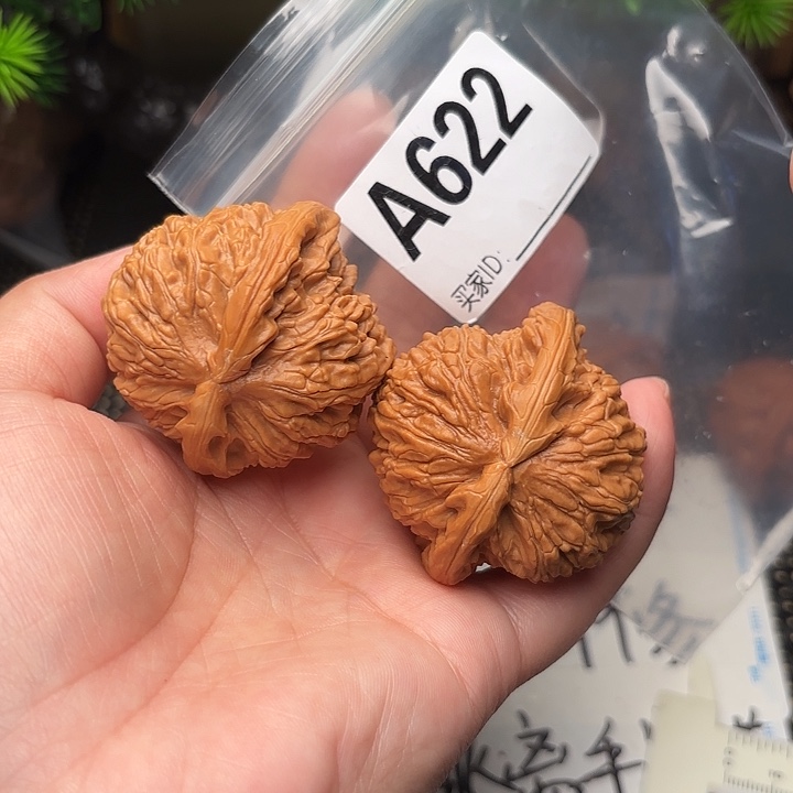 把件桃核核桃白狮子46