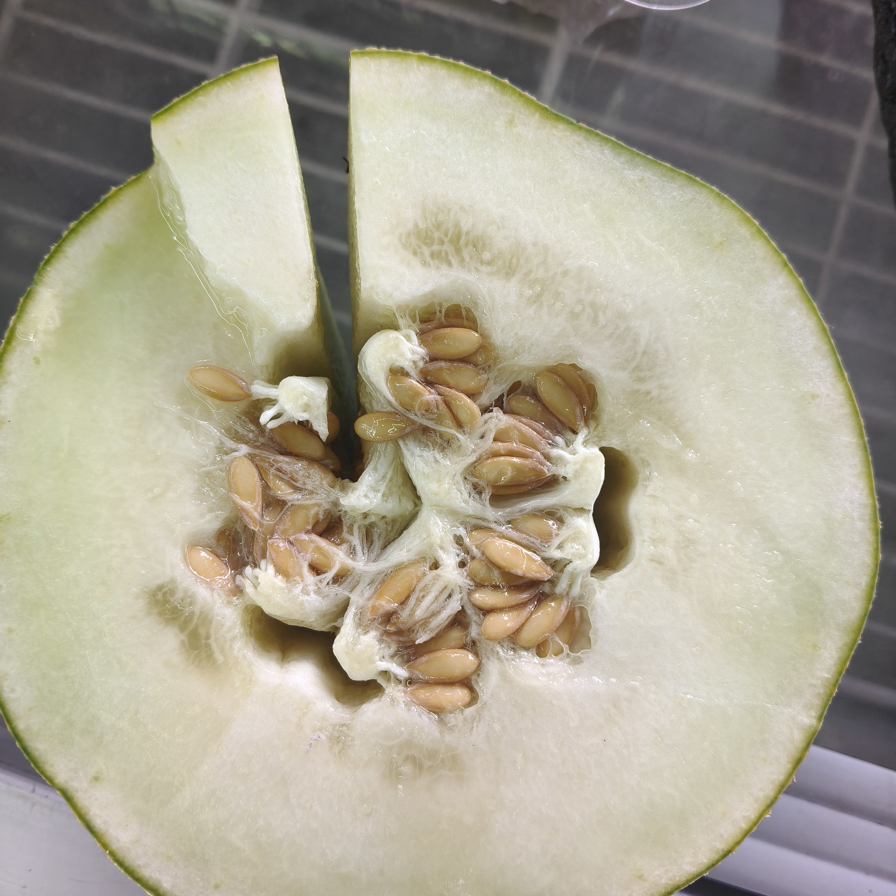 小蜜瓜2个，嘎嘎甜