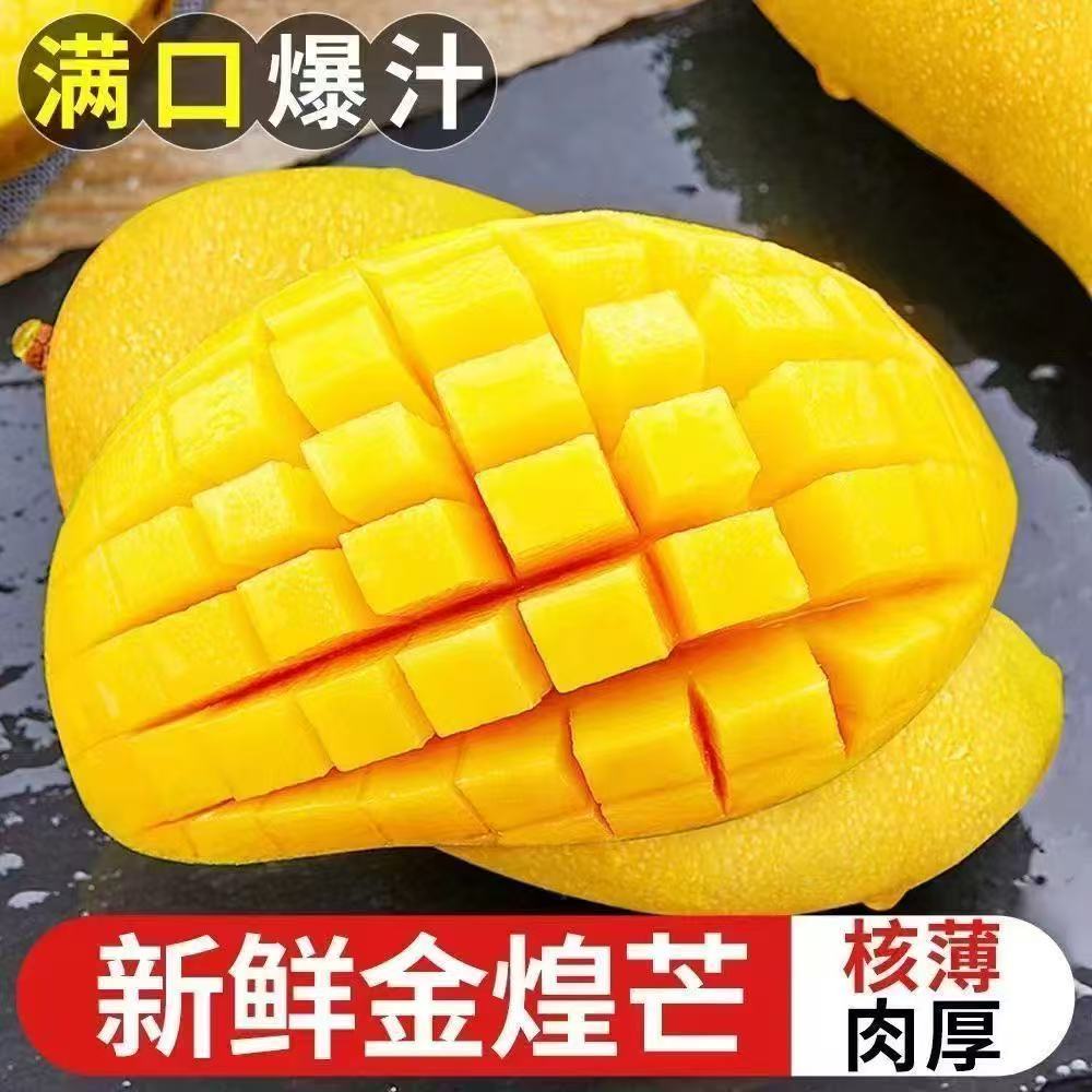 【广西黄皮金煌芒】新鲜应季水果整箱10斤坏果包赔P