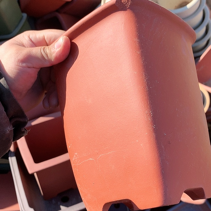 紫砂哈哈真的是太给力太火爆了不是吗