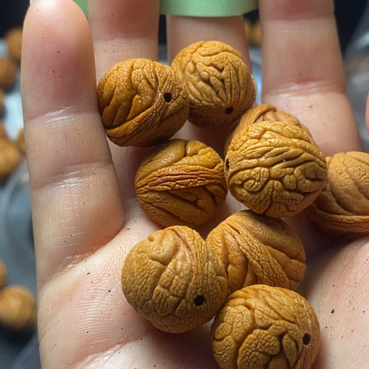 桃核吊坠秦岭野生桃核